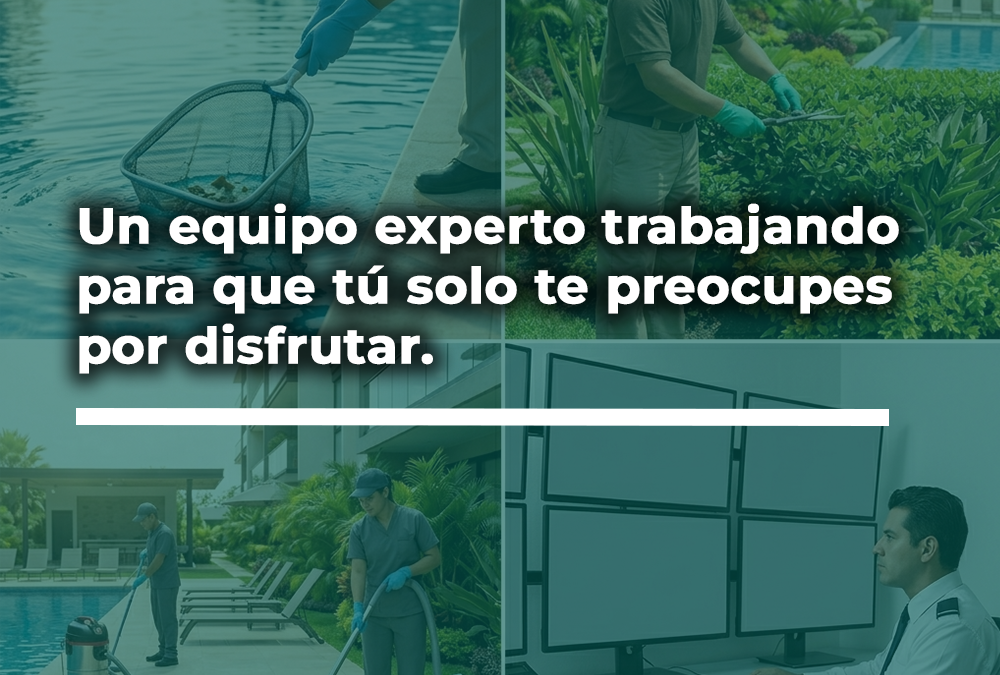 Mantenimiento y la Gestión Profesional